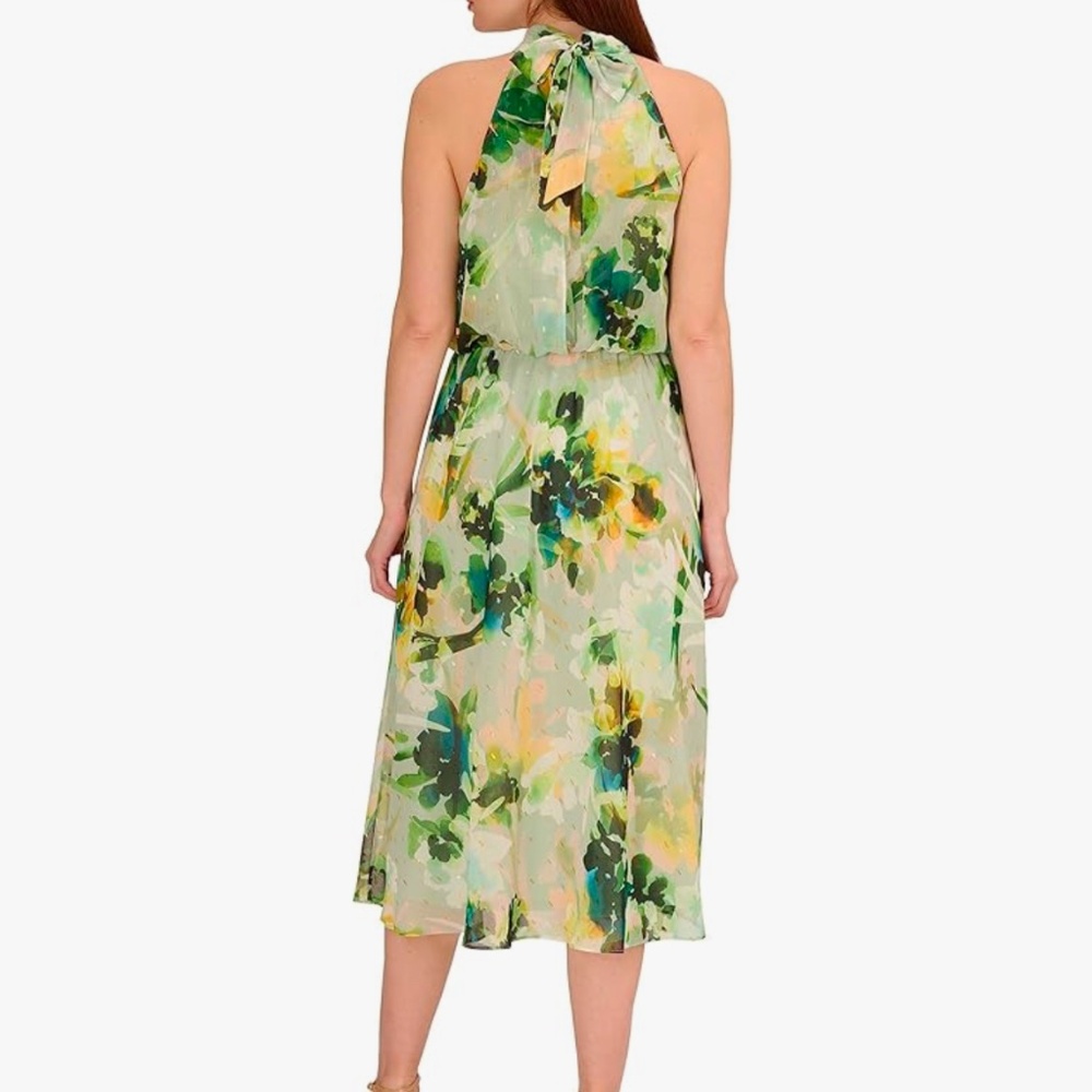 Adrianna Papell Women's Chiffon Halter Blouson Dress